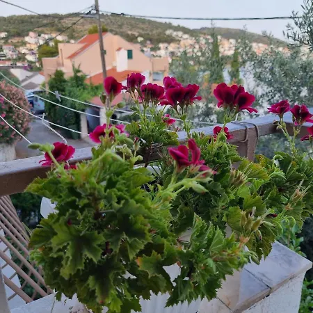 דירה Villa Green *