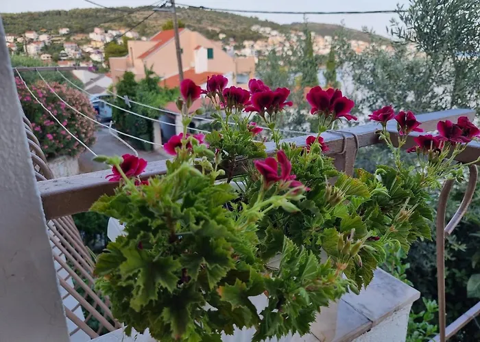 Appartement Villa Green *